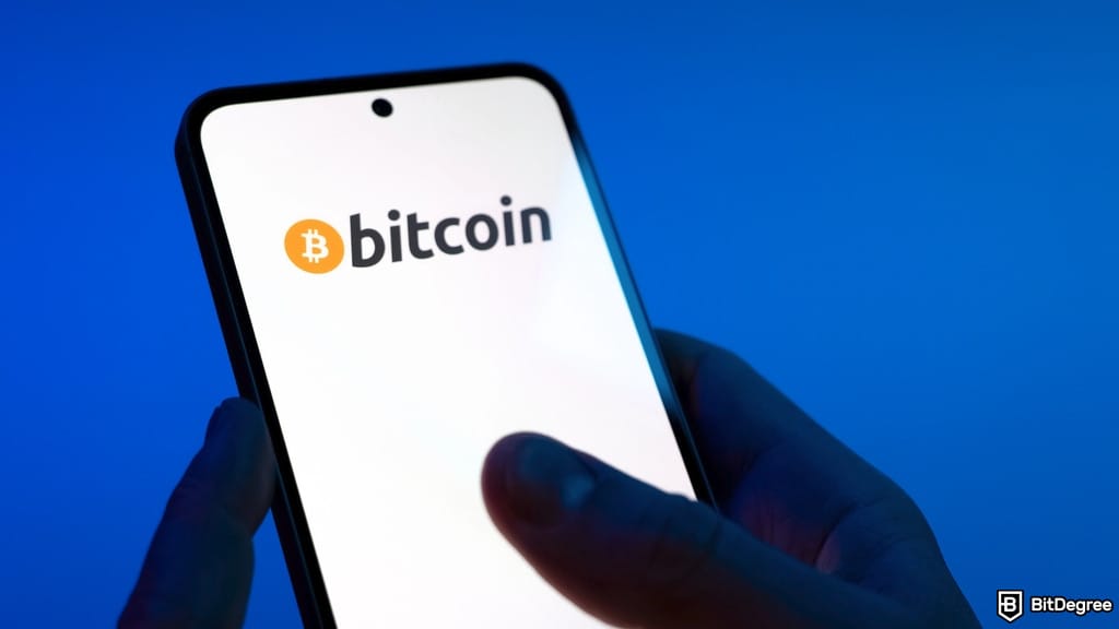 Bitcoin Buzz Fades as Investors Demand Strategy, Not Hype