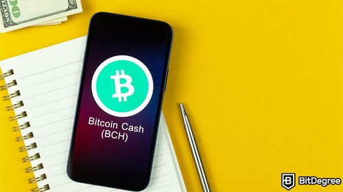 Bitcoin Cash Hits 12-Month High Amidst South Korean Trading Boom