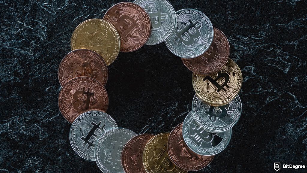 Bitcoin Cycles Explained: A Guide to Navigate Market Patterns