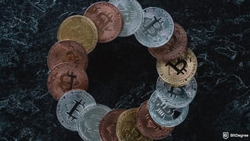Bitcoin Cycles Explained: A Guide to Navigate Market Patterns