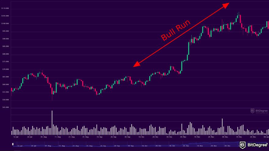 Bitcoin cycles: BTC 2024 bull run.