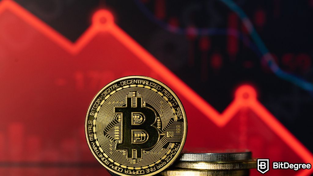 Bitcoin's Quick Slide to Below $41,000 Shocks Crypto Market