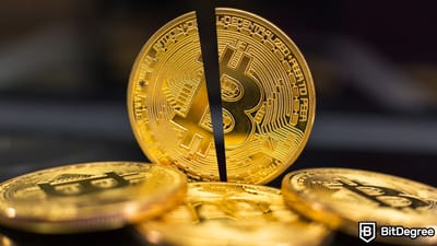 Bitcoin Fees Drop After Reaching All-Time High on Halving Day Bitcoin Fees Drop After Reaching All-Time High on Halving Day