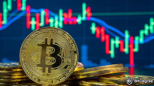 Bitcoin Grabs Institutional Investors' Attention Amidst Record Highs