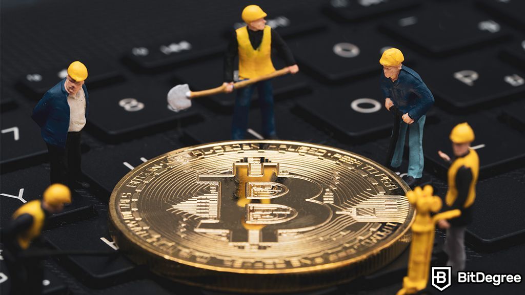 Bitcoin Miners Reap Rewards as Fees Reach 20-Month High