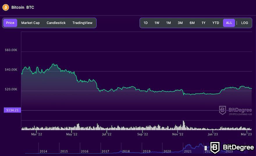 Bitcoin stock-to-flow: BitDegree's Bitcoin price chart.