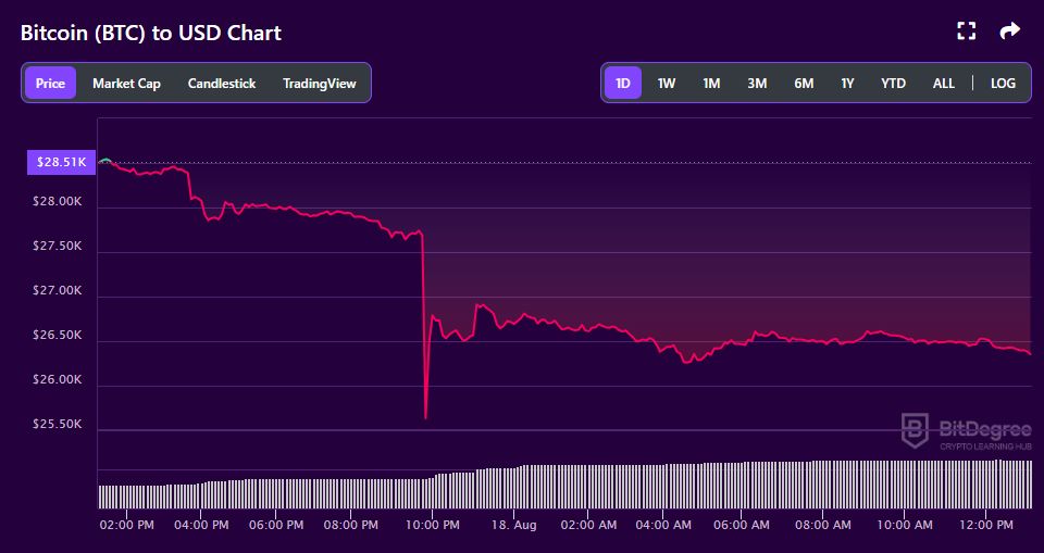 Bitcoin Takes The Plunge