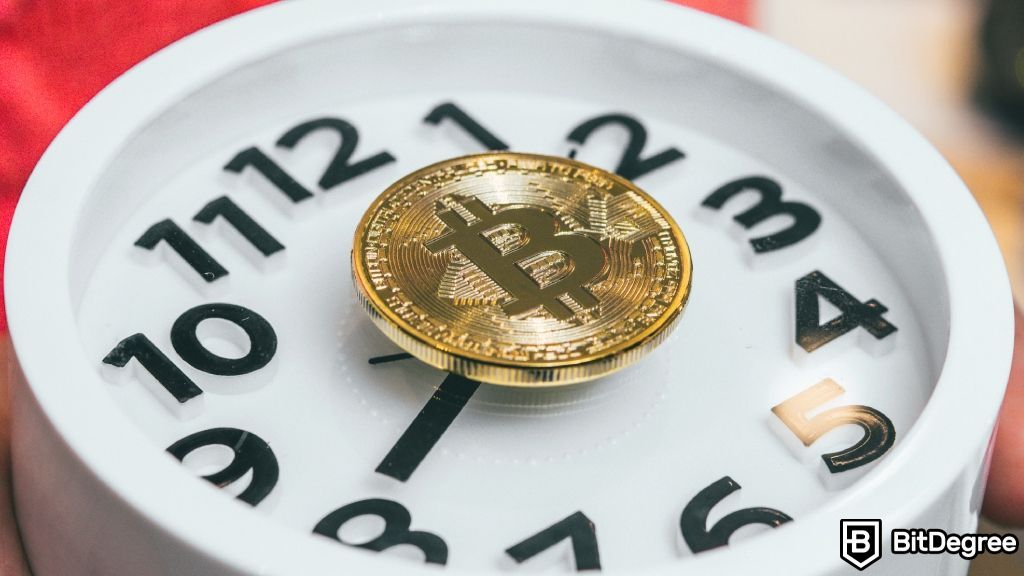 Speed or Precision? Understanding Bitcoin Transaction Time