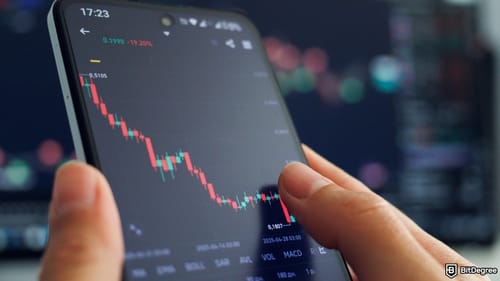 Bitcoin Whales Trim Holdings Despite $111,000 All-Time High