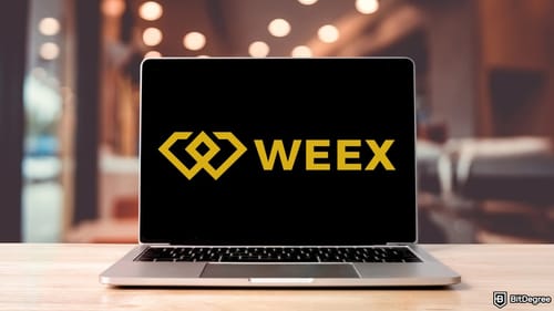 BitDegree Introduces WEEX Mission With 1,000 USDC Up for Grabs