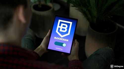 BitDegree's WhiteBridge Mission: AI-Powered Identity Research Platform