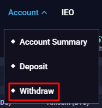 Bitexen Exchange review: "Withdraw" menu.