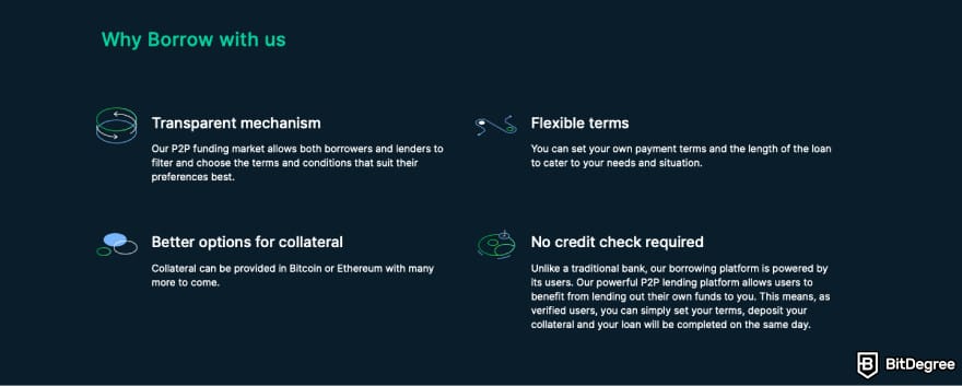 Bitfinex fees: a screenshot of Bitfinex Borrow description.