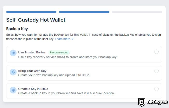 BitGo review: set up your backup key.