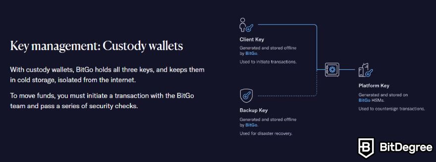 BitGo review: custodial wallet features.