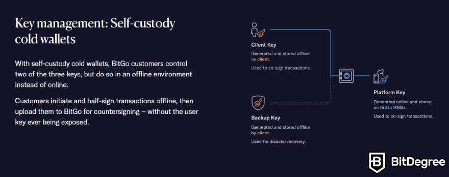 BitGo review: self-custody cold wallet.