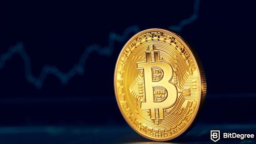 BitMEX Co-Founder Hayes Forecasts Bitcoin Bull Market Awakening Within a Year