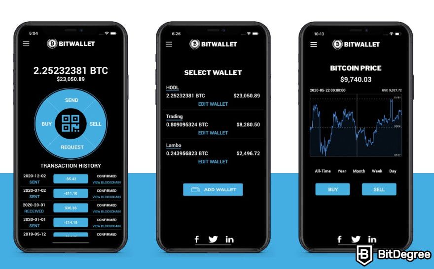 BitWallet review: user interface.