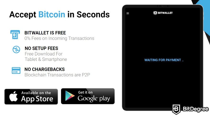 BitWallet review: fees.