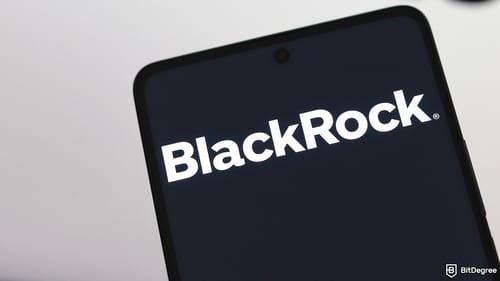 BlackRock CEO Rebrands Bitcoin as a Market “Asset of Fear”