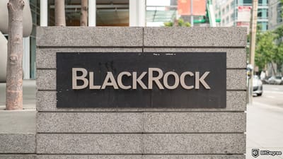 BlackRock Launches Fund Aligned with New US Stablecoin Law
