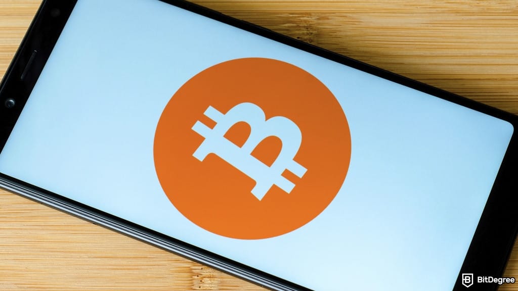 BlackRock’s Mitchnick: Bitcoin’s Global Payment Use Still “Speculative”