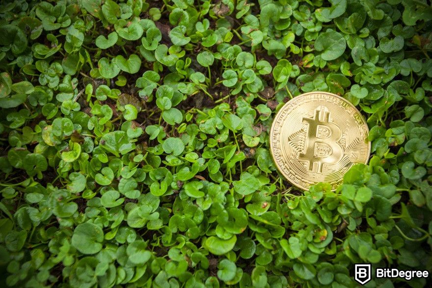Blockchain education: Bitcoin coin on a grass background.
