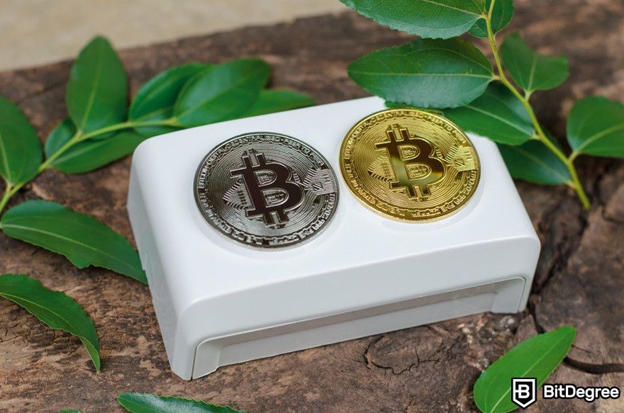 Blockchain security: Bitcoin coins on an electronic outlet with a leaves background.