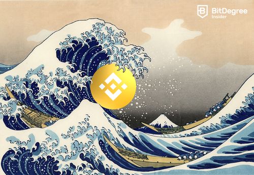 BNB Surfin' On FUD Waves