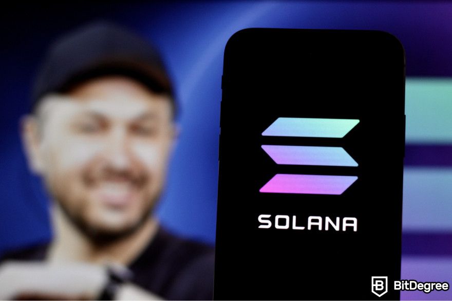 Bonk token airdrop: Solana logo on the mobile phone screen.