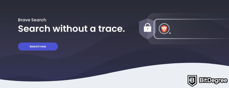 Brave Wallet review: the Brave Search.