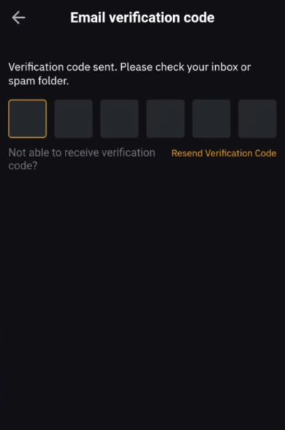 Bybit app review: enter the email verification code.