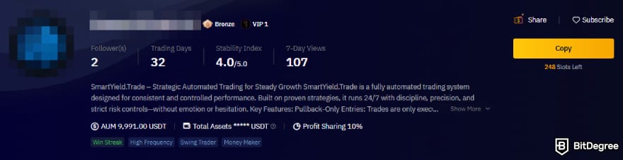 Bybit copy trading: a Master Trader's trading strategy description.