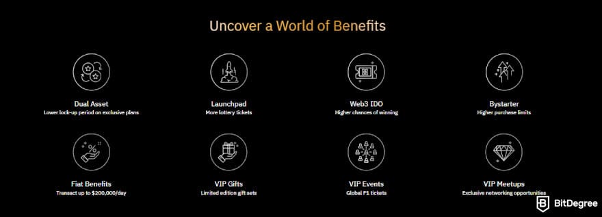 Bybit fees: other VIP benefits.