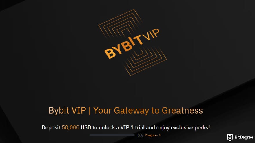 Bybit fees: VIP program.