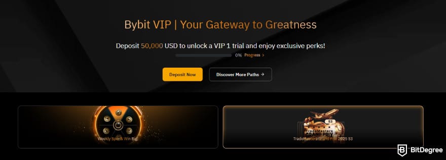 Bybit futures trading: VIP program access.