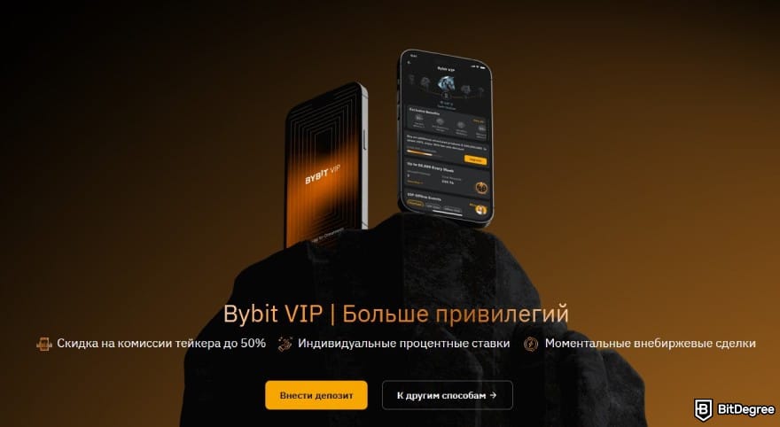 Bybit обзор: VIP Bybit.