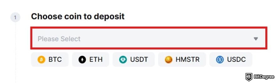 Bybit review: the coin option when depositing on Bybit.