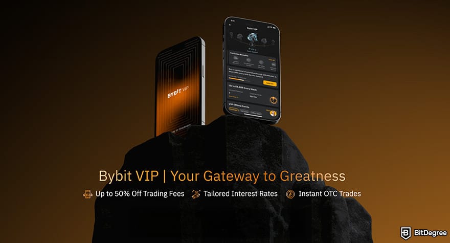 Bybit review: Bybit VIP.