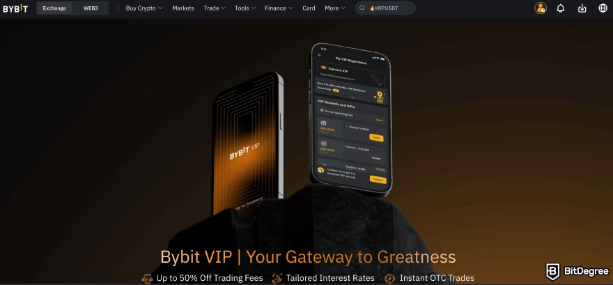 Bybit review: Bybit VIP.