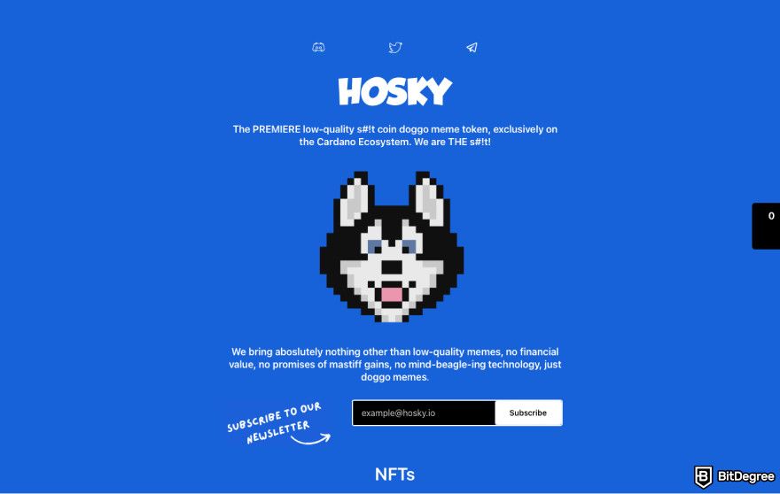 Cardano meme coins: a screenshot of Hosky's official website.