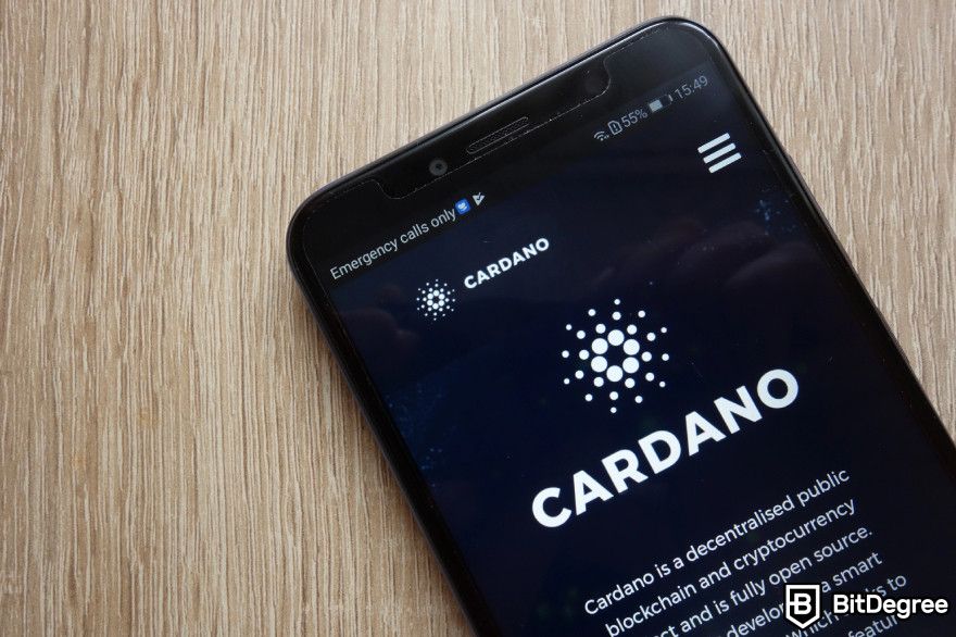 Cardano staking: a phone displaying Cardano website.