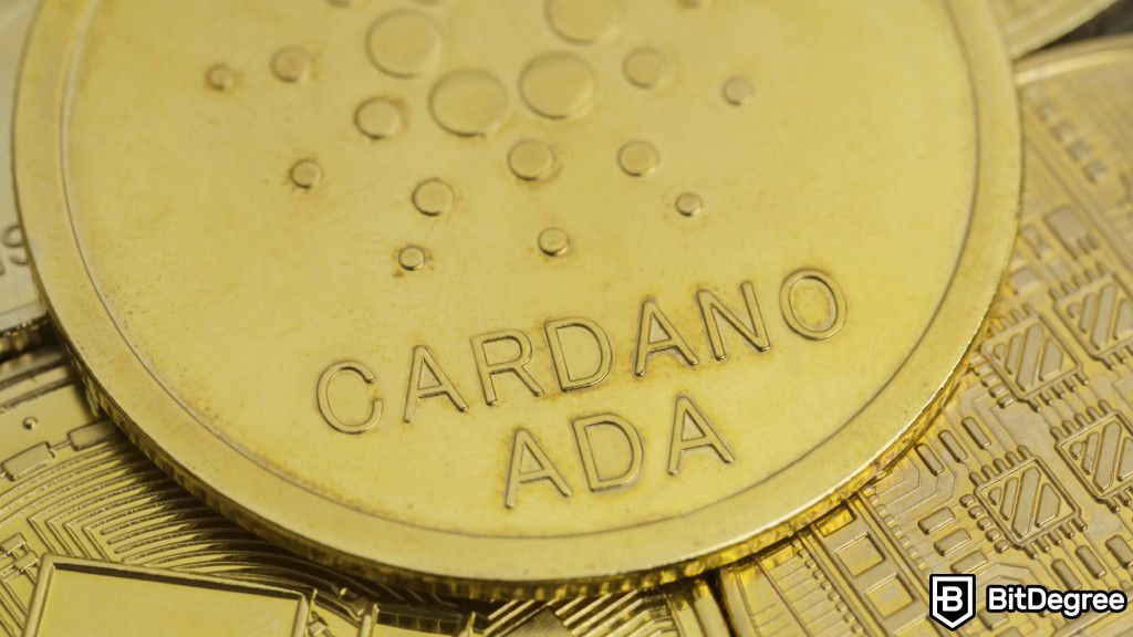 Cardano Staking: A Step-by-Step Guide to Generate Passive Income