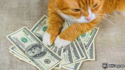 CAT Coin Tumbles After Founders Linked to GCRClassic Account Hack