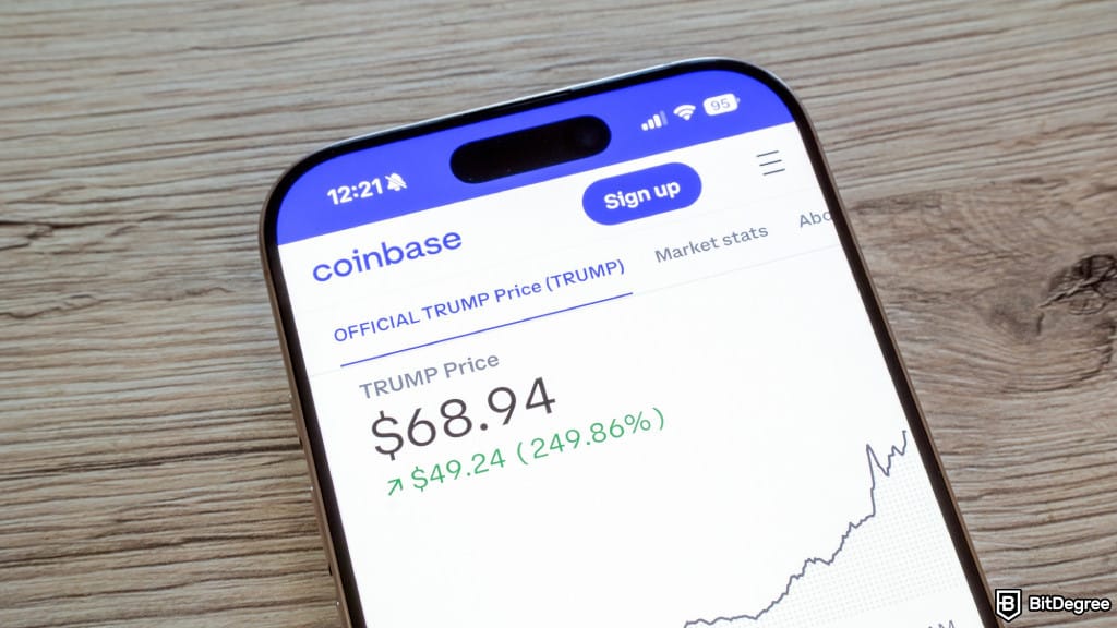 how to choose your fighter how to choose your fighter