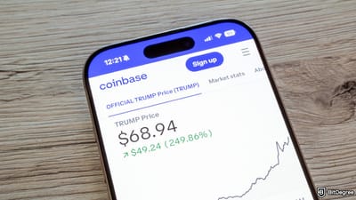 CEX or DEX: how to choose your fighter