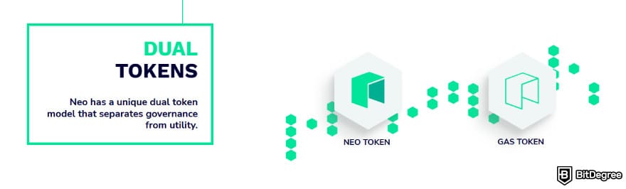 Chinese crypto coins: dual tokens functionality of NEO.