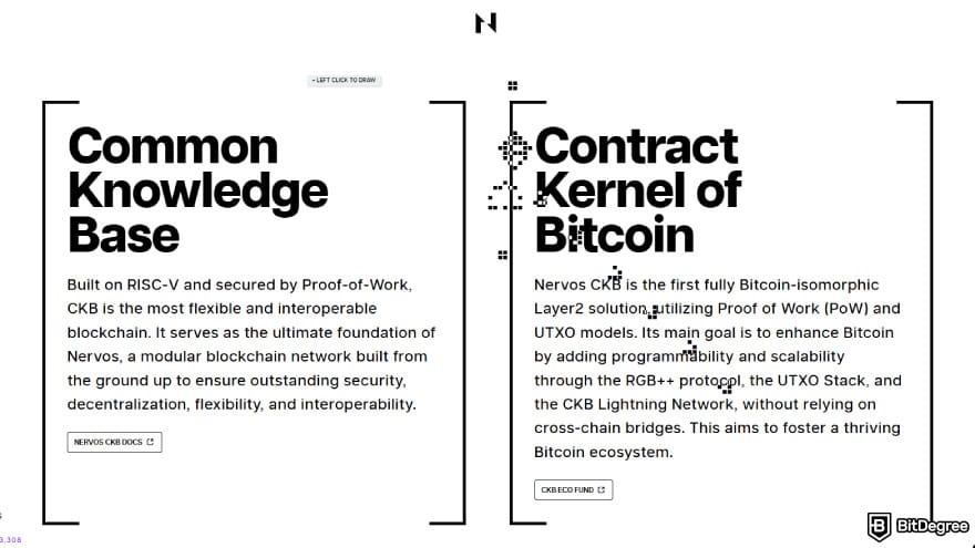Chinese crypto coins: Nervos CKB landing page.