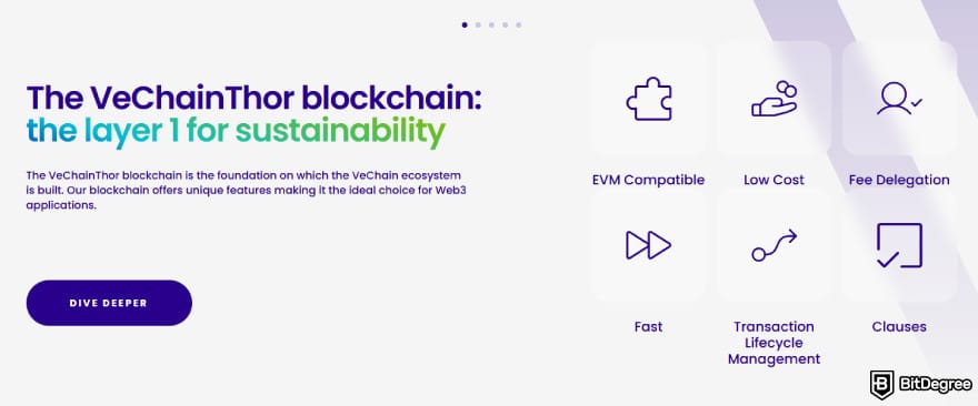 Chinese crypto coins: VeChain main features.
