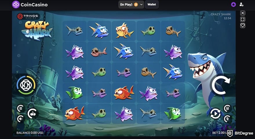 CoinCasino review: CoinCasino's gameplay interface.